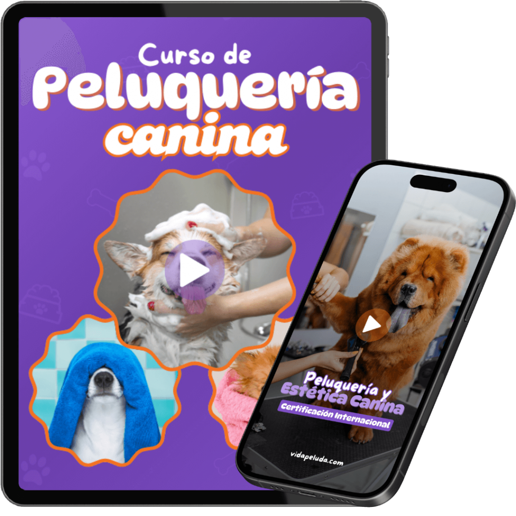 Curso de peluquería canina